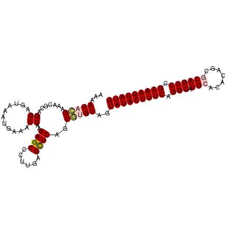 secondary structure