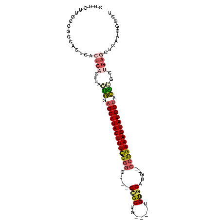 secondary structure