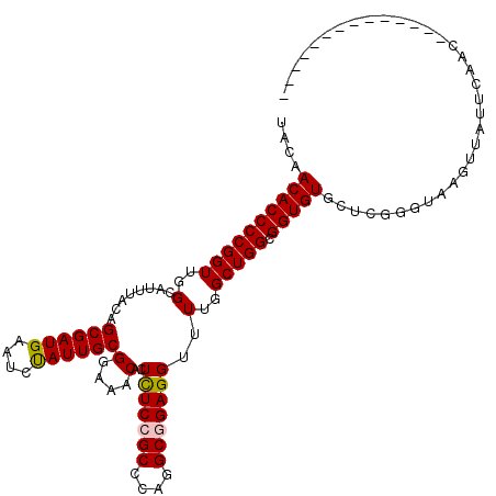 secondary structure