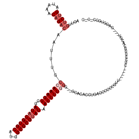 secondary structure