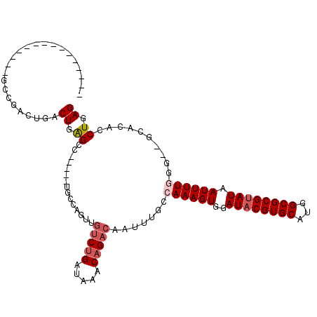 secondary structure