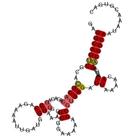 secondary structure