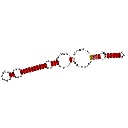 secondary structure