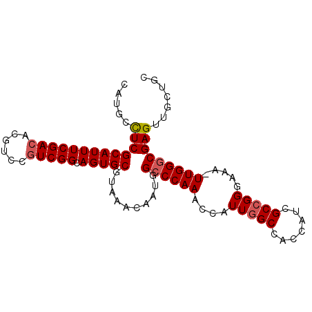 secondary structure