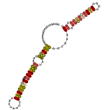 secondary structure