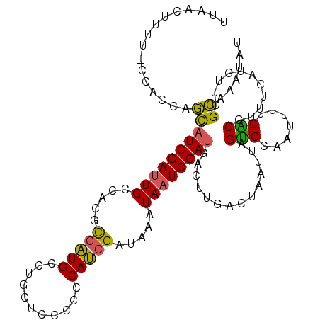 secondary structure