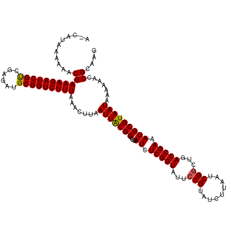 secondary structure