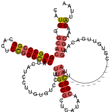 secondary structure