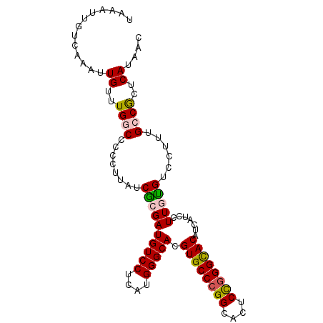 secondary structure