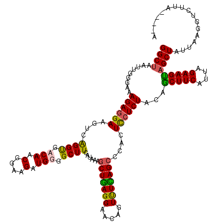 secondary structure