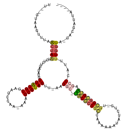 secondary structure
