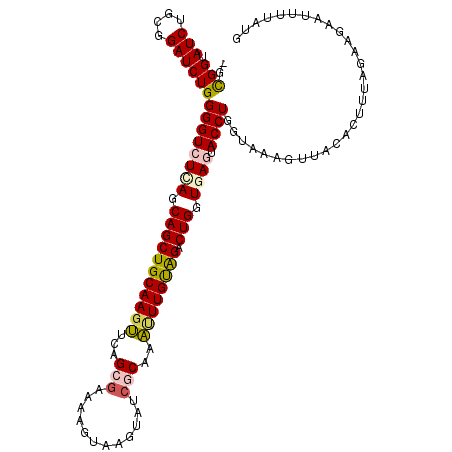 secondary structure
