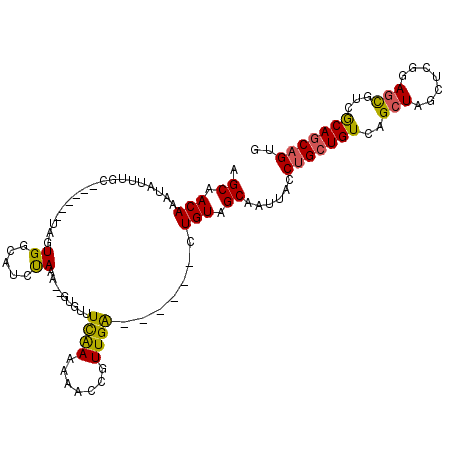 secondary structure