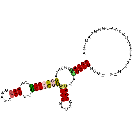 secondary structure