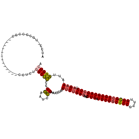 secondary structure
