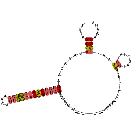 secondary structure