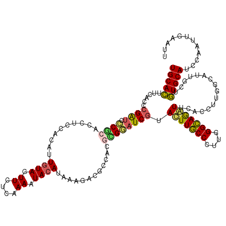 secondary structure