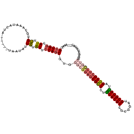 secondary structure