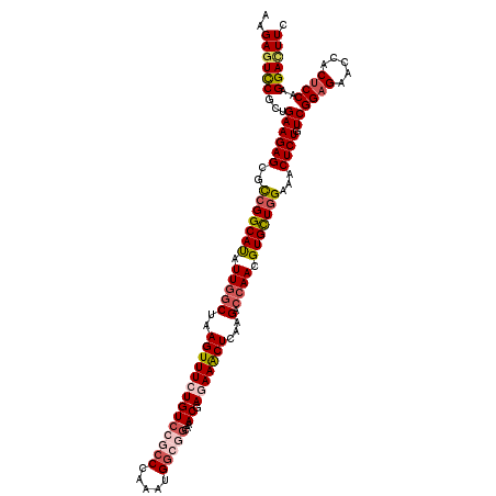 secondary structure