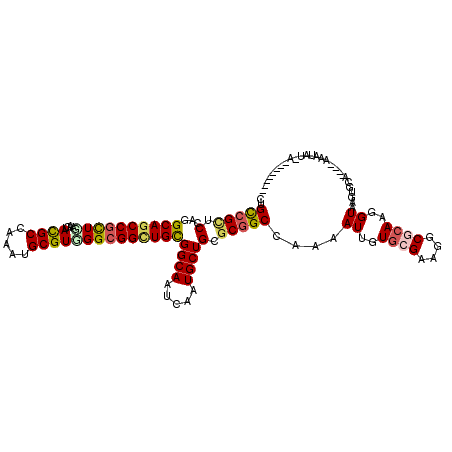 secondary structure