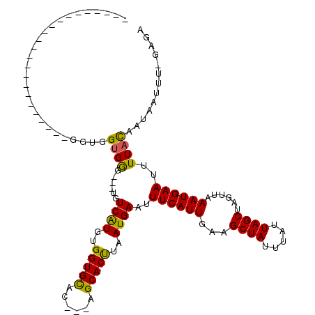 secondary structure