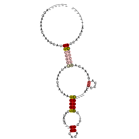 secondary structure