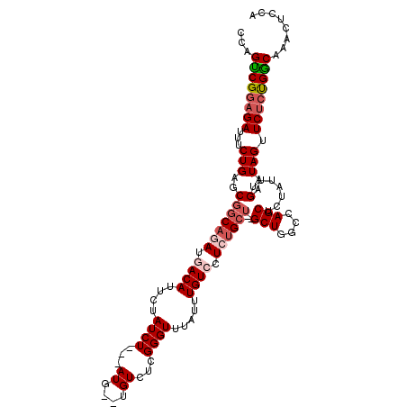 secondary structure