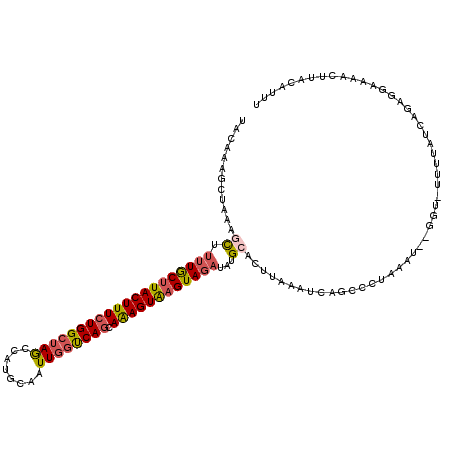 secondary structure