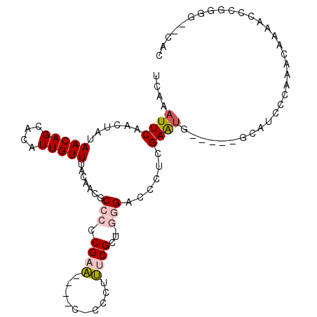 secondary structure