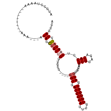 secondary structure