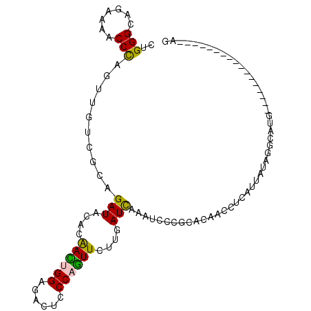 secondary structure