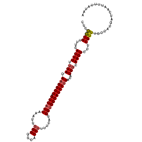 secondary structure