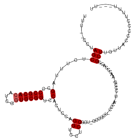 secondary structure