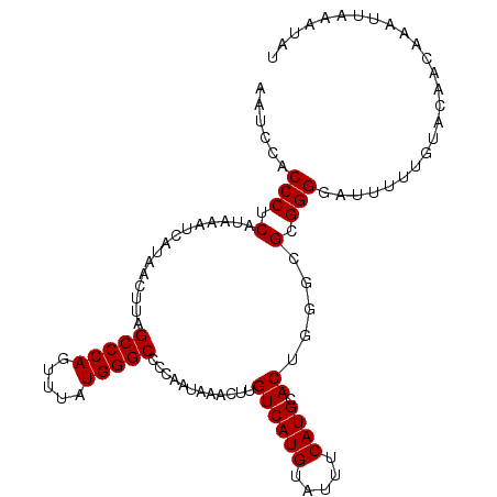 secondary structure