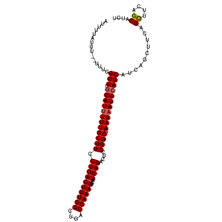 secondary structure