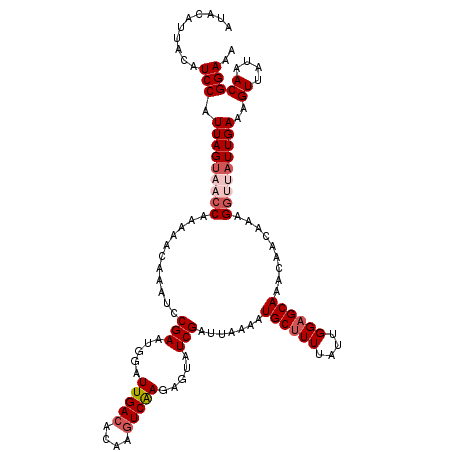 secondary structure