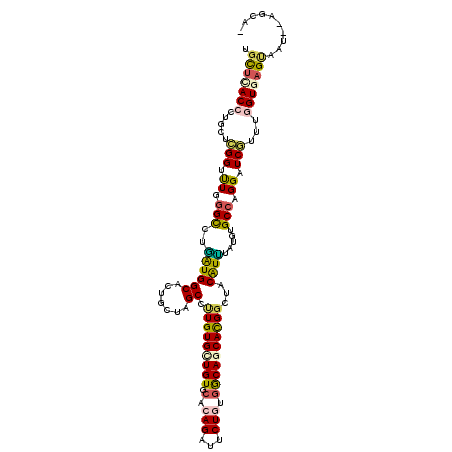 secondary structure