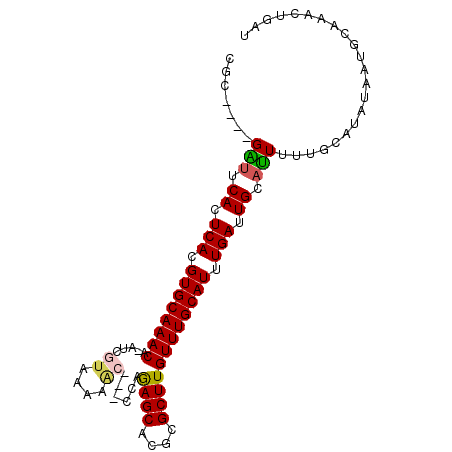 secondary structure