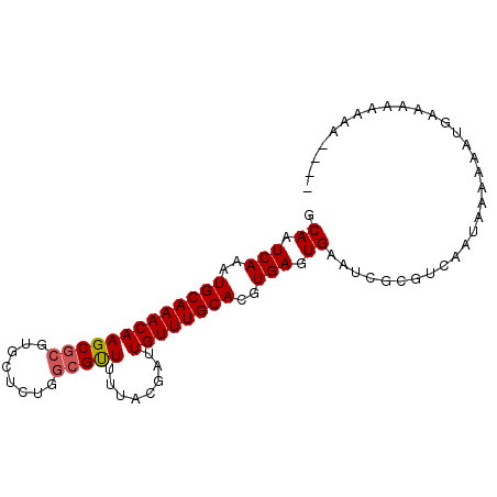 secondary structure