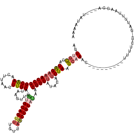 secondary structure