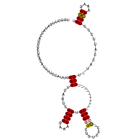 secondary structure