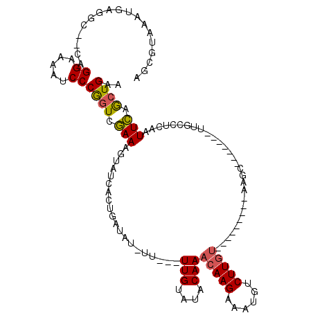 secondary structure
