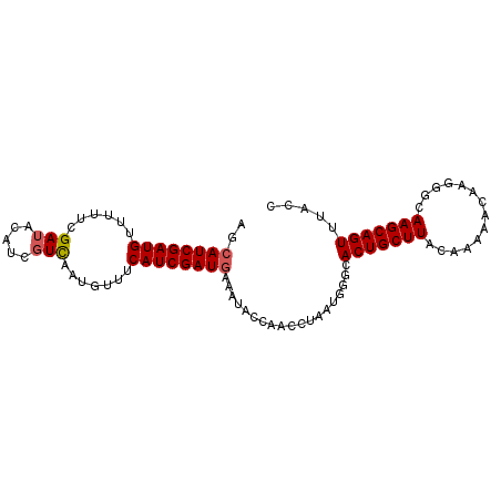 secondary structure