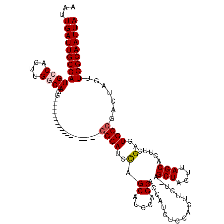 secondary structure