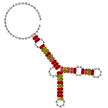 secondary structure