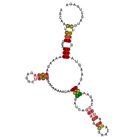 secondary structure