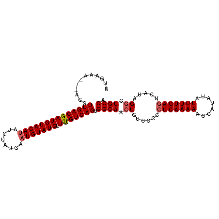 secondary structure