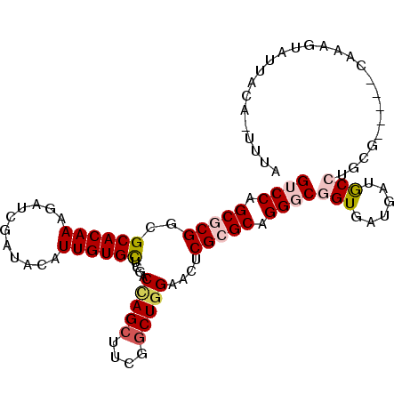 secondary structure