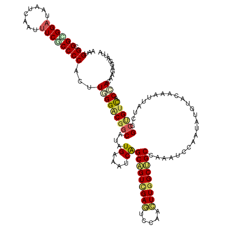 secondary structure