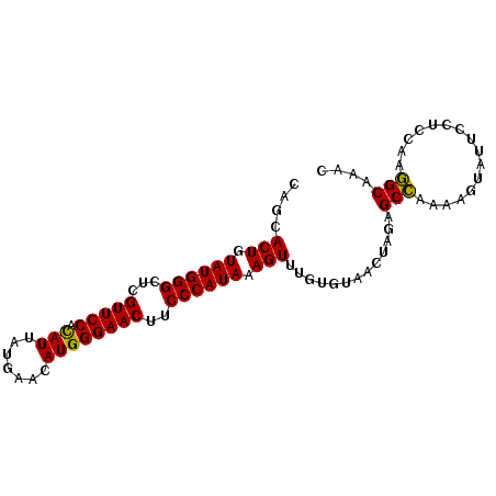 secondary structure
